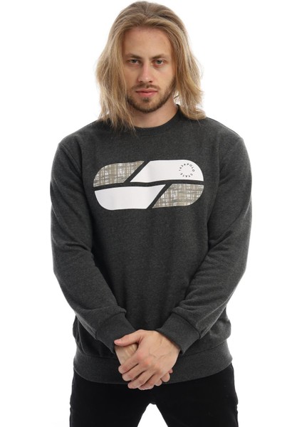 Erkek 3 İplik Pamuklu Baskılı Regular Fit Basic Bisiklet Yaka Antrasit Sweatshirt modelleri
