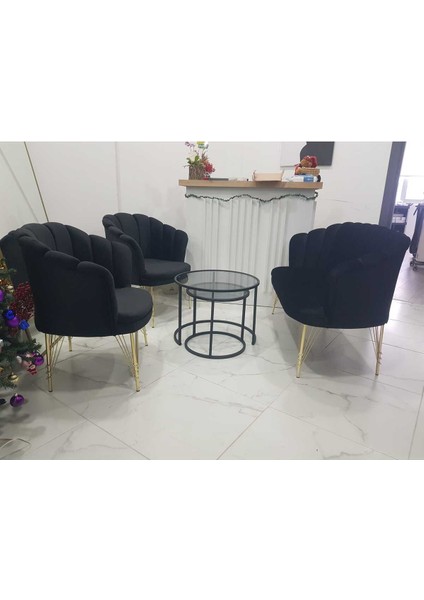 Garden House Siyah Metal Ayaklı Papatya Çay Koltuk Takımı Bekleme Koltuğu Ofis Koltuğu Berjer Cafe Sandalyesi