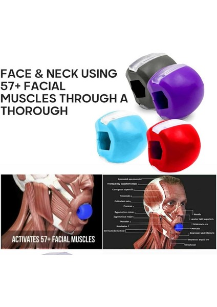Kırmızı Mor Tarzı Fitness Çene Egzersiz Topu Yüz Masseter Erkekler Yüz Pop Jawline Kas Eğitimi Fitness Boyun Tonlama Chew Bite Breaker Eğitimi (Yurt Dışından) indirimleri