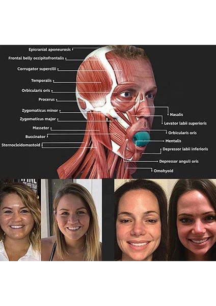 40 Pound Siyah Stil Pound Jawline Egzersiz Yüz Masseter Chew Bite Ball Breaker Kutulu Gıda Dereceli Silika Jel Fitness Boyun Yüz Eğitmeni (Yurt Dışından) indirimleri