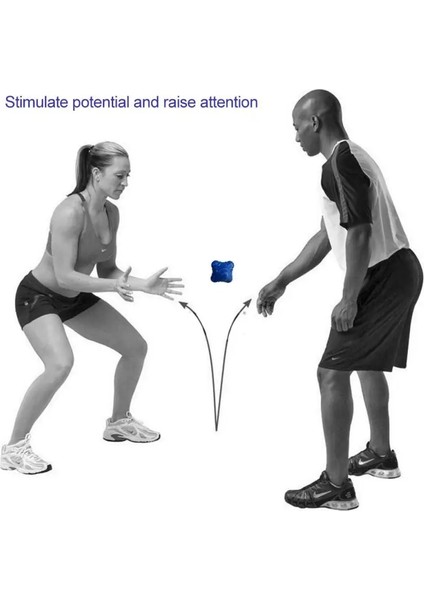 Tip 2 Stili Açık Eğlenceli Altıgen Top Spor Salonu Fitness Altıgen Reaksiyon Topu Oyuncak Tenis Beyzbol Hızlı Hızlı Kauçuk Eğitim Topları (Yurt Dışından) fiyatları