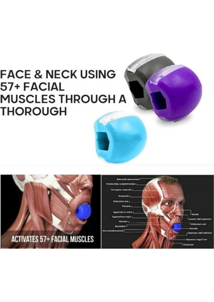 Mavi Stil Çene Egzersiz Topu Yüz Masseter Silika Jel Çene Çizgisi Kas Eğitimi Fitness Topu Boyun Yüz Tonlama Jawrsize Kas Egzersiz Cihazı (Yurt Dışından) modelleri