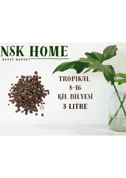 NSK Home Tropikal Süs Bitkileri Için Kil Bilyesi (Hidroton)