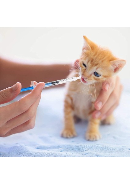 20 Adet 1cc Şırınga + Kapaklar 1 ml Plastik Şırınga Bireysel Olarak Mühürlü Iğne Olmadan Sıvı Köpek Şırınga Tutkal Aplikatör (Yurt Dışından)