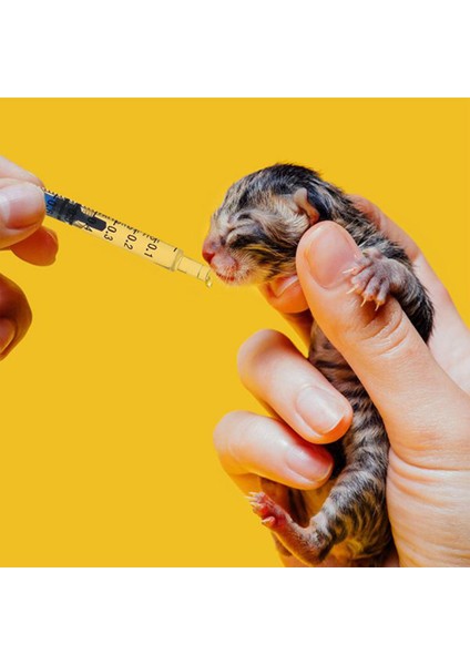 20 Adet 1cc Şırınga + Kapaklar 1 ml Plastik Şırınga Bireysel Olarak Mühürlü Iğne Olmadan Sıvı Köpek Şırınga Tutkal Aplikatör (Yurt Dışından)