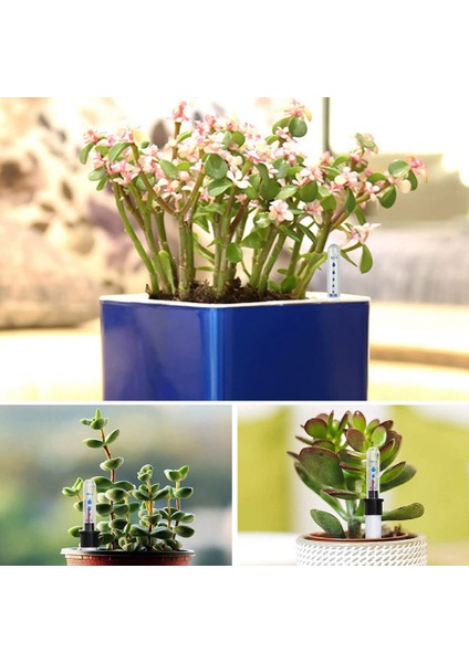 10'lu Paket Toprak Nemi Ölçer, 20 cm Bitki Su Seviyesi Göstergesi, Su Seviyesi Göstergesi, Toprak Nemi Ölçer, Sensör (Yurt Dışından) fırsatları