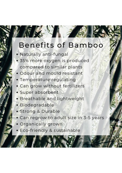 Yeşil Stil Olorful Bambu Diş Fırçası Paketi Bambu Diş Fırçası Yumuşak Kömür Kıl Ucu Çevre Dostu Vegan Bambu Diş Fırçası (Yurt Dışından) indirimleri