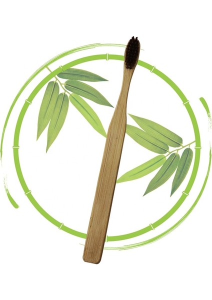 10 Adetkoyu Kahverengi Stil Bambu Diş Fırçası Seti Yetişkin Doğal Biyobozunur Ağız Sağlığı Çevre Dostu Ahşap Diş Fırçası Yumuşak Bpa Ücretsiz Kömür Kılları (Yurt Dışından)