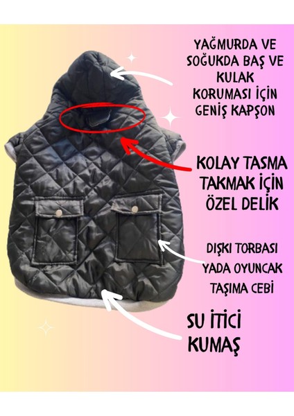 Black Comfly Köpek Montu, Orta ve Büyük Irklar Için