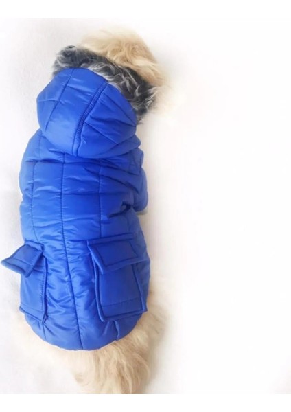 Parliament Mavi Comfy Köpek Montu Köpek Ceketi Köpek Dış Giyim