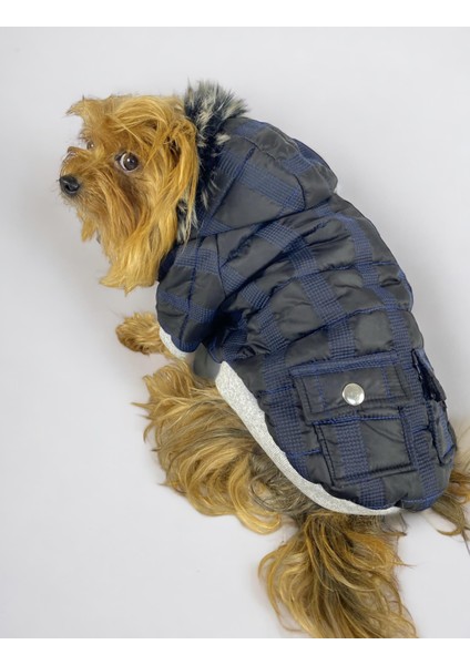 Black Navy Comfie Köpek Montu, Köpek Ceketi, Köpek Dış Giyim fiyatları