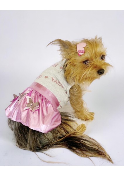 Yassi Glitz Köpek Elbisesi, Köpek Kıyafeti