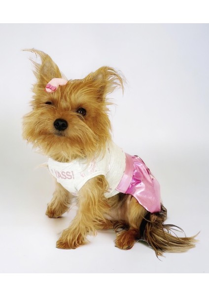 Yassi Glitz Köpek Elbisesi, Köpek Kıyafeti