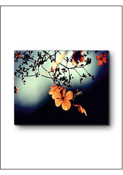 Orange Flower Dekoratif Kanvas Tablo modelleri