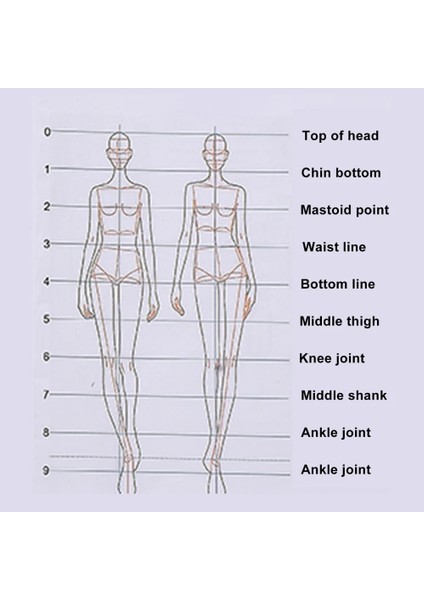 A2 Stili Moda Cetvel Çizim Cetvel Figür Çizim Şablonu Moda Tasarımı Için Moda Kroki Şablonu Okul Için Kadın Kırtasiye 2021 (Yurt Dışından) fırsatları