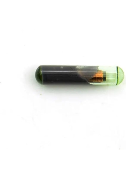 1 Adet ID48 Id 48 Cam Transponder Yüksek , Anahtar Transponder D48 Kripto Çipi (Yurt Dışından)
