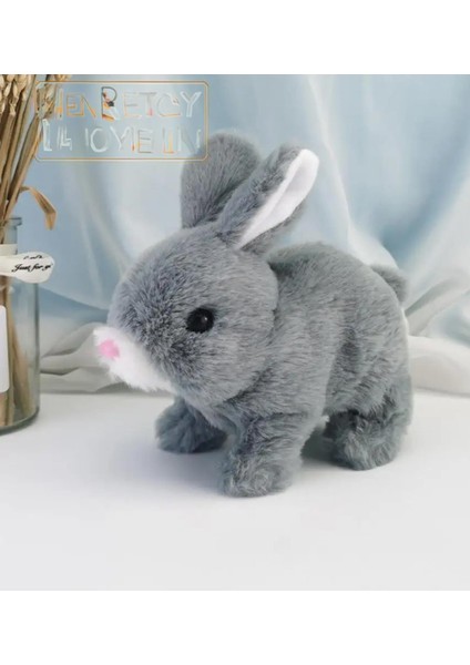 Yürüyen, Sesli Hareketli Sevimli Peluş Bunny Tavşan - Sweet Bunny