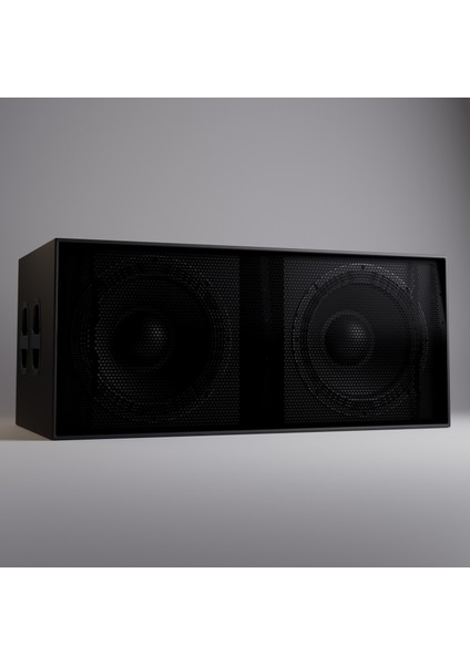 M-Pro 218 S Profesyonel Subbass Kabin