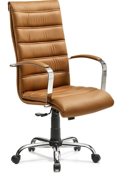 Çizgili Bilgisayar Koltuğu Ofis Müdür Büro Çalışma Sandalyesi Kahve Rengi Krom Ayaklı
