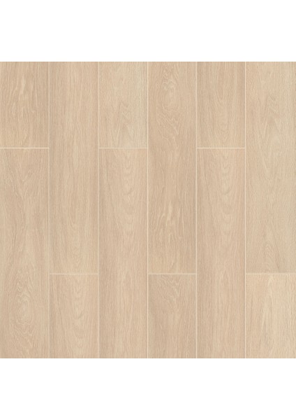 Chicago ( 32.SINIF 1 PAKET 1.899 M2 )