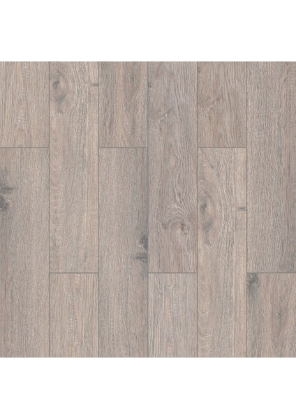 Dibek Meşe ( 32.SINIF 1 PAKET 1.533 M2 )