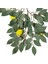 Paket Yapay Limon Dalları, Limon Meyveli 36 Inç Sprey, Yeşillik Çelenk Dekoratif Meyve (Yurt Dışından) 2