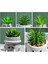 Yapay Saksı Bitki Etli Bitki Sevimli Asılı Bacak Seramik Saksı Succulents Dekor Masa Raf A (Yurt Dışından) 2