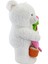 Neco Plush Hediye Çiçekli Saksı Tutan Ayı 55 cm 520156 3