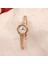 Gül Altın Saat Popüler Quartz Saat Kum Altın Kadın Saati 24K Altın Retro ve Zarif Küçük Altın Saat ile Kaplama (Yurt Dışından) 1