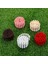 Ahşap 3cm Tarzı Moda Minyatür Ahşap Çit Mini Küçük Çit Peri Bahçe Kiti Dıy Peyzaj Küçük Dekoratif Bahçe Sulu Meyveler Için Fit (Yurt Dışından) 3