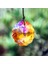 Ab Renk Stili H & D 5 Renkler Pencere Asılı Kristal Mandala Prizma Suncatcher Gökkuşağı Üreticisi Avize Parçaları Dıy Ev Düğün Süslemeleri Hediye (Yurt Dışından) 5