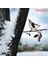 M Tarzı 21 Çeşit Metal Art En Erf Tuin Decoratie Metalen Vogel Art Garden Açık Vogel Decoratie Art Decoratie Yard (Yurt Dışından) 1