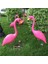 Yukarıya Bakma Stili Gerçekçi Büyük Pembe Flamingo Bahçe Dekorasyonu Çim Sanatı Süsleme Ev El Sanatları 3 Seçenek Seçin (Yurt Dışından) 1