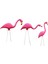 Yukarıya Bakma Stili Gerçekçi Büyük Pembe Flamingo Bahçe Dekorasyonu Çim Sanatı Süsleme Ev El Sanatları 3 Seçenek Seçin (Yurt Dışından) 4