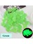 Yeşil Stil 500 Adet Bahçe Glow Balık Tankı Yürüyüş Yolları Için Karanlık Aydınlık Çakıl Taşları Bahçe Yolu Veranda Çim Bahçe Yard Dekor Aydınlık Taşlar (Yurt Dışından) 1