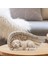 Köpek Stili Melek Pet Heykeli Köpek Kedi Kanatlı Mezar Işaretleyici Heykelcik Reçine Zanaat Süsleme Arka Bahçe Ev Bahçe Heykel Çim Dekorasyon (Yurt Dışından) 4