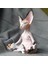 WHC210620015GY Stili Kaprisli Buda Sphynx Kedi Heykelcik Meditasyon Yoga Mutlu Kedi Duvar Süsü Heykeller Açık Bahçe Heykelleri Figürinler # G3 (Yurt Dışından) 4