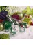 No.5 Tarzı LED Top Işıkları Noel Ağacı Düğün Ev Için Su Geçirmez Ev Kapalı Dekorasyon Şeffaf Noel Süs Plastik Ampul (Yurt Dışından) 4