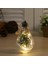 No.3 Tarzı LED Top Işıkları Noel Ağacı Düğün Ev Için Su Geçirmez Ev Kapalı Dekorasyon Şeffaf Noel Süs Plastik Ampul (Yurt Dışından) 1