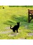 No.2 Tarzı Bahçe Kedi Kazıkları Akrilik Kedi Siluetleri Dekorasyon Su Geçirmez Hava Koşullarına Dayanıklı Kedi Yard Sanat Avlular Arka Bahçeler Çimenler (Yurt Dışından) 4