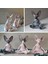1 Stili Yazın Yeni Kedi Heykelcik Sphynx Meditasyon Heykeli Yoga Hayvan Kedi Meditasyon Sanat Heykel Mikro Dekorasyon Bahçe Ev Ofis Süsleme (Yurt Dışından) 5