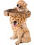 Bir Stil Oynak Bahçe Köpek Heykelleri Yavru Kuş Banyosu Polyresin Antika Bahçe Kuş Banyosu Ev Bahçe Yard Hayvan Heykelleri Süsler (Yurt Dışından) 1