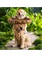 Bir Stil Oynak Bahçe Köpek Heykelleri Yavru Kuş Banyosu Polyresin Antika Bahçe Kuş Banyosu Ev Bahçe Yard Hayvan Heykelleri Süsler (Yurt Dışından) 2