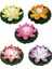 R Stili 18CM cm Yapay Yüzen Lotus Gece Lambası LED Enerji Tasarruflu Lotus Lambası Bahçe Havuzu Gölet Çeşmesi Dekorasyonu Için (Yurt Dışından) 4