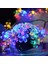 Beyaz Stil 20LED LED Şeftali Çiçeği Dize Lambası Trendy Bahçe Dekoru Güneş Dize Peri Işıkları (Yurt Dışından) 2