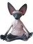 6 Stili Yazın Yeni Kedi Heykelcik Sphynx Meditasyon Heykeli Yoga Hayvan Kedi Meditasyon Sanat Heykel Mikro Dekorasyon Bahçe Ev Ofis Süsleme (Yurt Dışından) 1