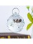 H & D Lot Temizle Yönlü Kristal Avize Parçaları Kolye Prizmalar Aydınlatma Topu Feng Shui Suncatcher Düğün Ev Dekorasyonu (Yurt Dışından) 3