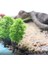 100G Tarzı 20G 50G 100G Minyatür Kum Taş Süsler Ev Bahçe El Sanatları Dekorasyon Balıkçılık Tankı Sıcak Yard ve Bahçe Dekor Dekoratif Çakıl (Yurt Dışından) 3