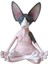 1 Adet Kaplumbağa Tarzı x Kaprisli Buda Kedi Heykelcik x Meditasyon Kedi Meditasyon Sanat Heykeller Açık Bahçe Heykelleri Figürler Yoga (Yurt Dışından) 5