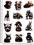 Köpek Sticker Pitbul K9 Çıkartmaları 12 Adet 1